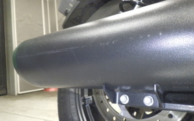 HARLEY RH975 2022