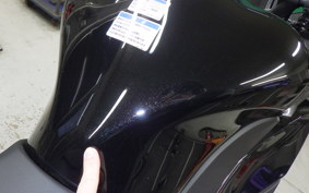 KAWASAKI NINJA1100SX 2025 ZXT10H