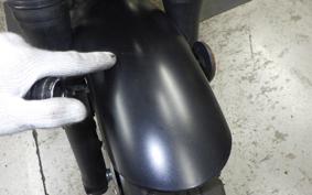 KAWASAKI W800 STREET 2021