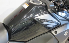 SUZUKI STROM 250 DS11A