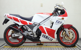 YAMAHA TZR250 1KT