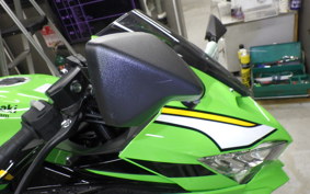 KAWASAKI ZX-4RR 2024 ZX400P