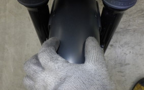 HARLEY XL883N 2018