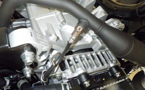 YAMAHA CYGNUSｸﾞﾘﾌｧｽ SEJ4J