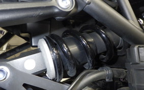 KAWASAKI Z900RS CAFE 2022 ZR900K