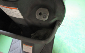 SUZUKI ADDRESS V100 CE13A