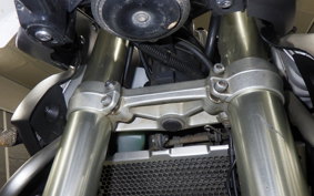 TRIUMPH TIGER 800 XC 2013