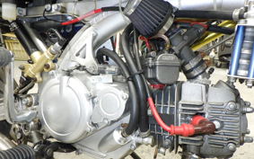 OTHER +UNREGISTERED MODEL by BDS125 1996