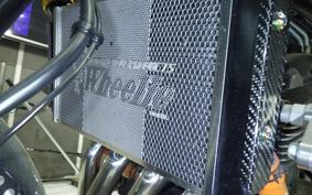 KAWASAKI Z900RS 2020 ZR900C