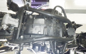 KAWASAKI KLX250D TRACKER X 2025 LX250V