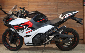 KAWASAKI NINJA 250 EX250P