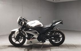 KAWASAKI NINJA 250R EX250K