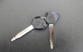 HONDA TODAY 1983 AF61