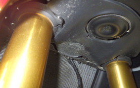 DUCATI DUCATI パニガーレV4S 2022