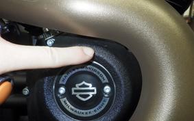 HARLEY FXFBS1870 2025