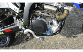 YAMAHA WR250X DG15J