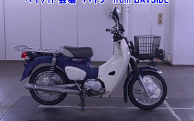 OTHER C110PU LOW 3