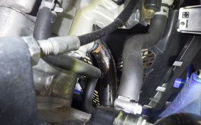 SUZUKI GSX-R125 2024 DL33B