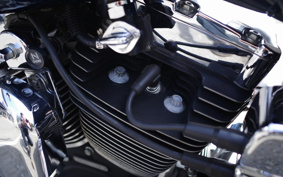 HARLEY FXDL 100th 2002 GDV