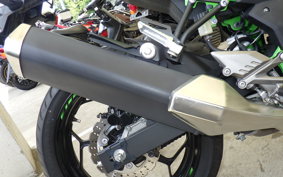 KAWASAKI NINJA 250 SL