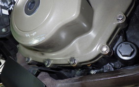 HUSQVARNA SVARTPILEN 401 2021