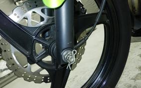 KAWASAKI Ninja 150RR 2025