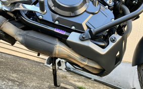 SUZUKI STROM 250 DS11A