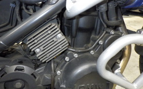 BMW F650GS 2010