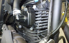 KAWASAKI KLX230DF 2024 LX232A