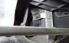 HONDA FORESIGHT EX MF04