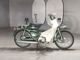 Фото Honda SUPER CUB50 с японского аукциона