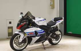 SUZUKI GSX-R1000 2013