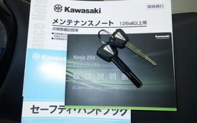 KAWASAKI NINJA 250 2