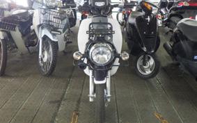 HONDA C110 SUPER CUB 1996 JA10
