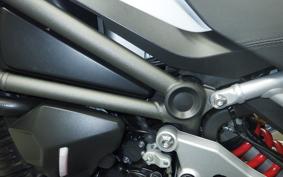 TRIUMPH TIGER 1200 GT PRO 2024