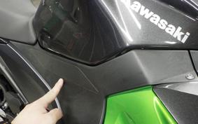 KAWASAKI NINJA 250 2010 EX250Y