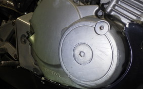 HONDA HORNET 250 MC31