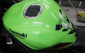 KAWASAKI ZX-4RR 2023 ZX400P