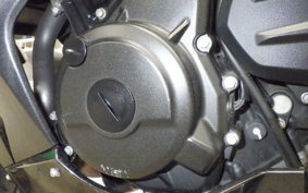 KAWASAKI NINJA 250 2 2019 EX250Y
