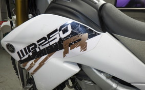 YAMAHA WR250R