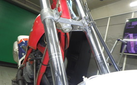 HONDA RTL250S 2009 RTL250SF