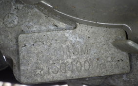 OTHER UNREGISTERED MODEL by BDS TRIKE250