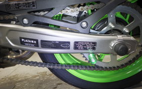 KAWASAKI ZX-4RR 2024