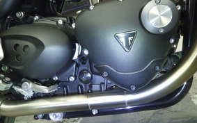 TRIUMPH SPEED TWIN 2023