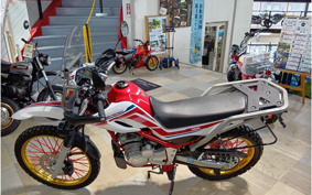 YAMAHA TOURING SEROW 250 FINAL ED DG31J