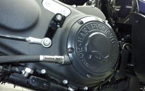 HARLEY XL1200X 2021