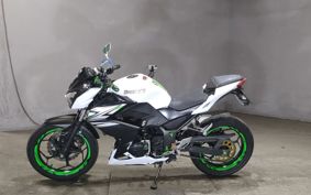 KAWASAKI Z250 ER250C