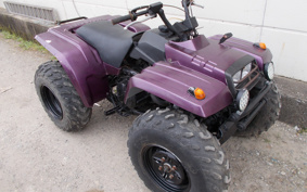 YAMAHA BIGBEA-4X4 3HN
