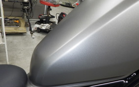 HONDA REBEL 250 2018 MC49