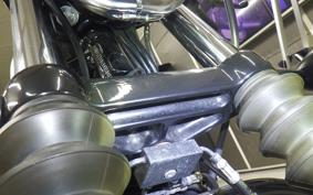 HARLEY XL883N 2020